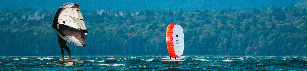 Surf Wings banner