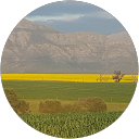 Martin Jooste profile picture